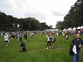 2011 Bay to Breakers Sunday 0605